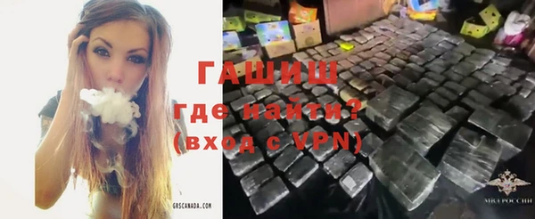 стаф Алзамай