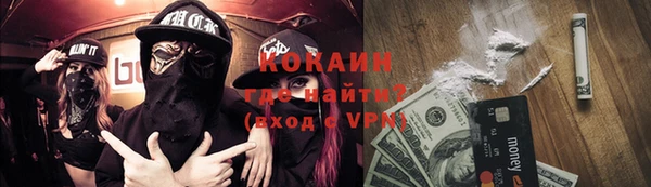 стаф Алзамай