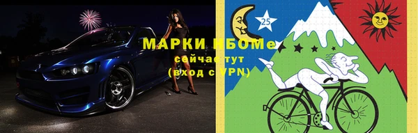 стаф Алзамай