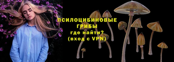 прущий лед Алексеевка