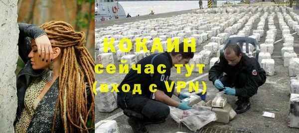стаф Алзамай