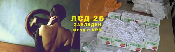 стаф Алзамай