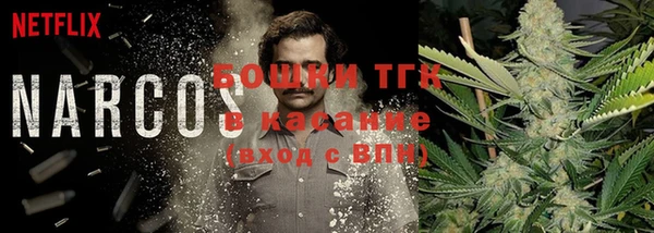 МДПВ Алексин
