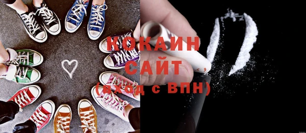 стаф Алзамай