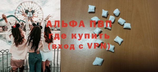 стаф Алзамай