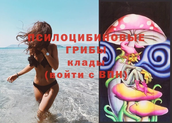 МДПВ Алексин