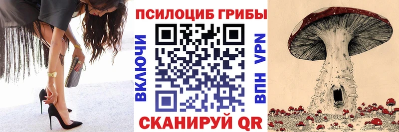 blacksprut вход  Апатиты  Псилоцибиновые грибы Psilocybe 