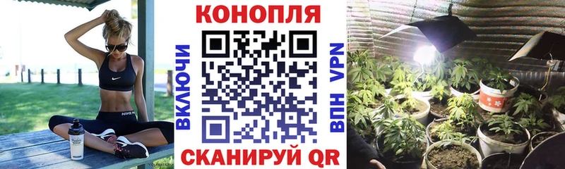 Каннабис White Widow  Апатиты 